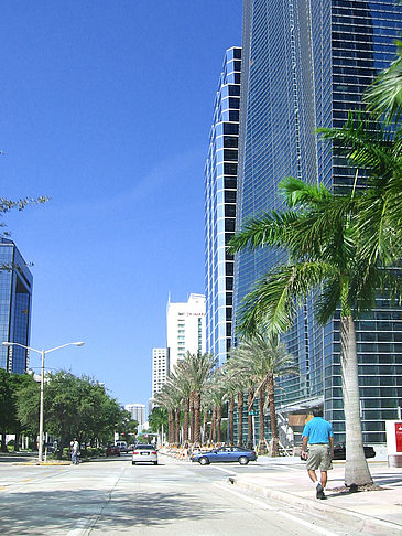 Auf den Straßen - Florida (Miami)