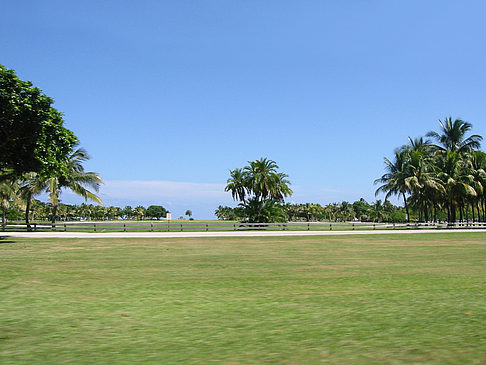 Am Straßenrand - Florida (Miami)