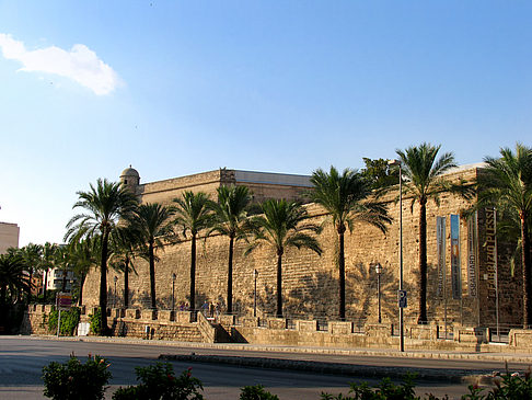 Auf den Straßen von Palma - Mallorca (Palma de Maljorka)