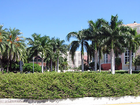 Am Straßenrand - Florida (Miami)