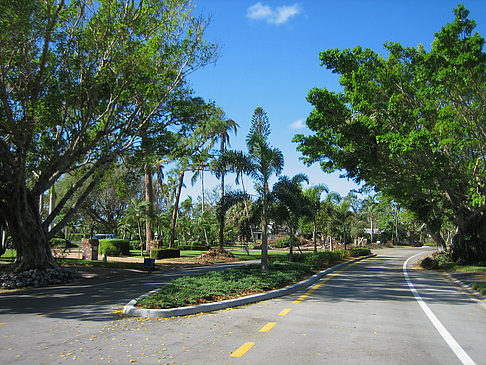 Straße - Florida